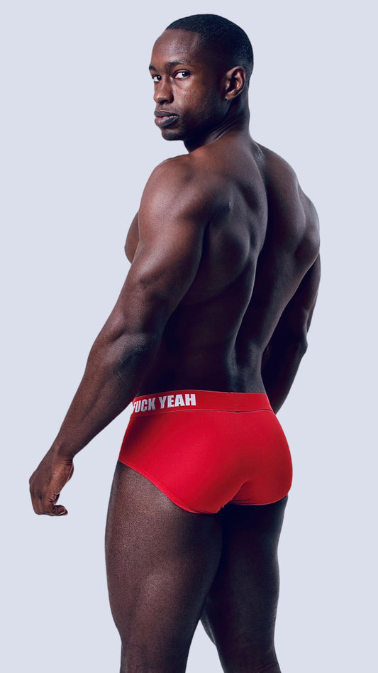 RED MICROFIBER BRIEF