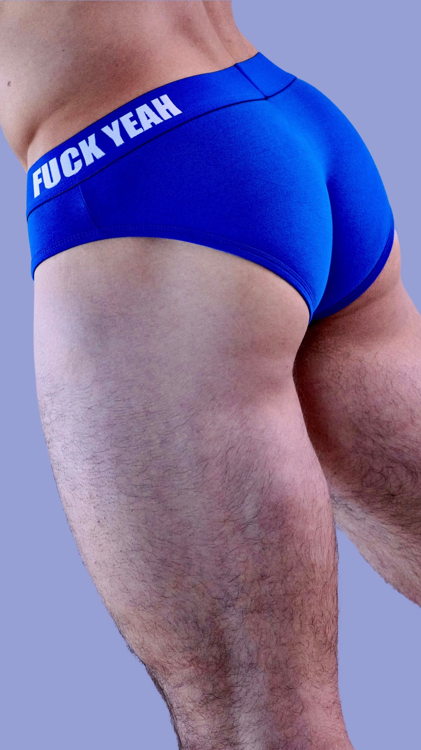 BLUE ORIGINAL BRIEF