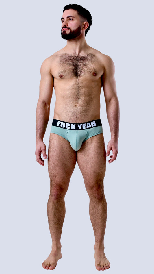 FRESH MINT ORIGINAL BRIEF